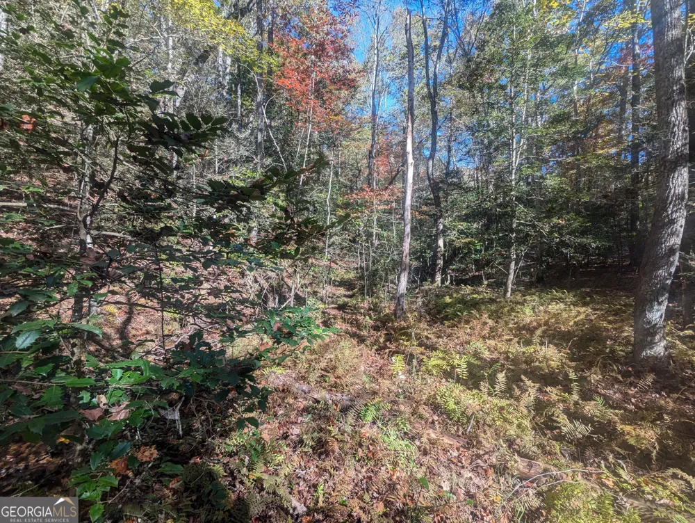26.89 AC Shadow LN Blue Ridge, GA 30513
