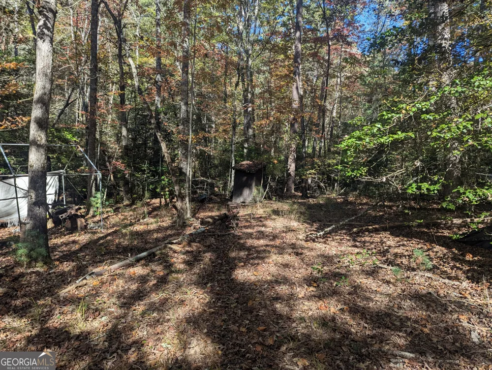 26.89 AC Shadow LN Blue Ridge, GA 30513