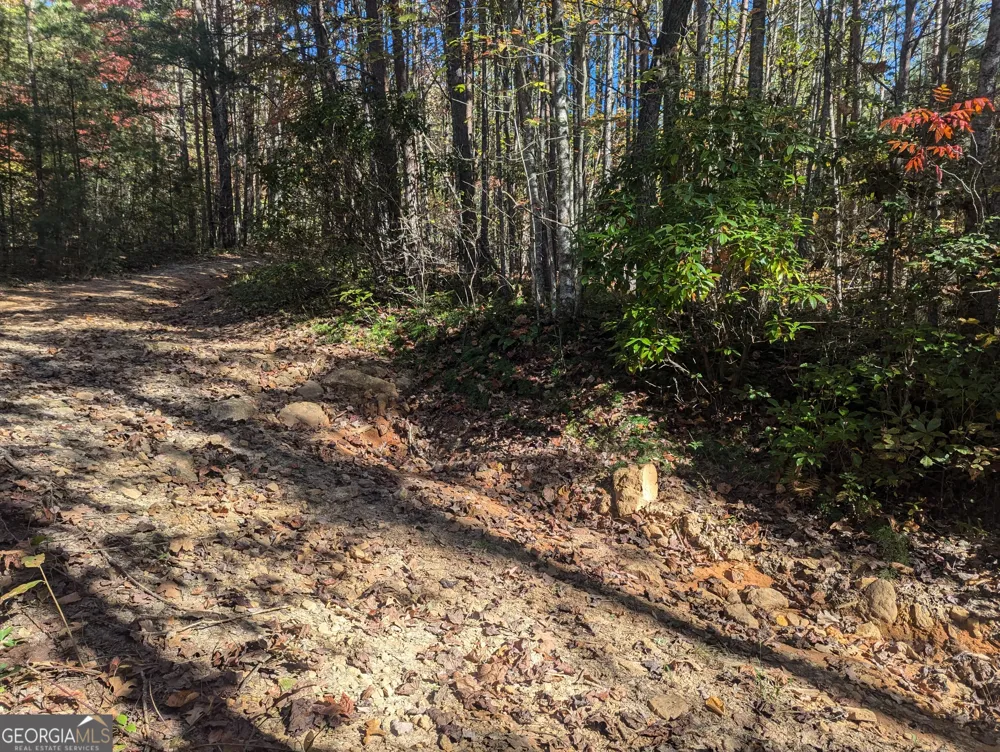26.89 AC Shadow LN Blue Ridge, GA 30513