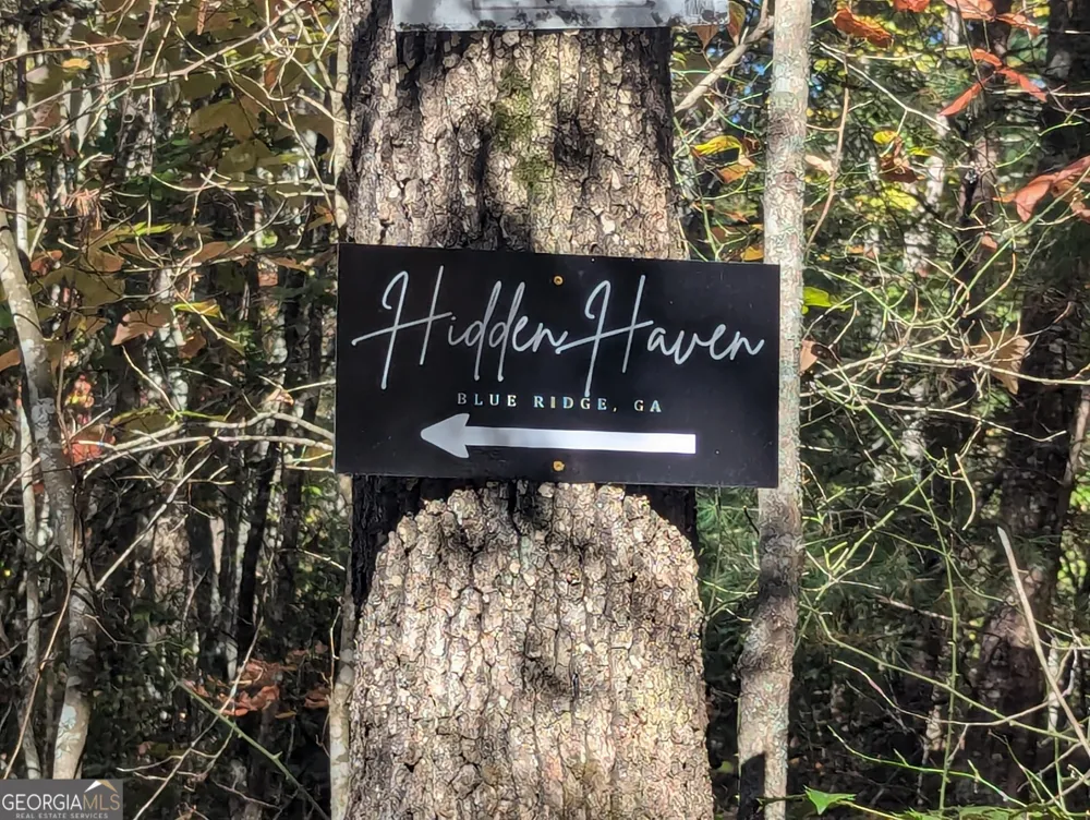26.89 AC Shadow LN Blue Ridge, GA 30513