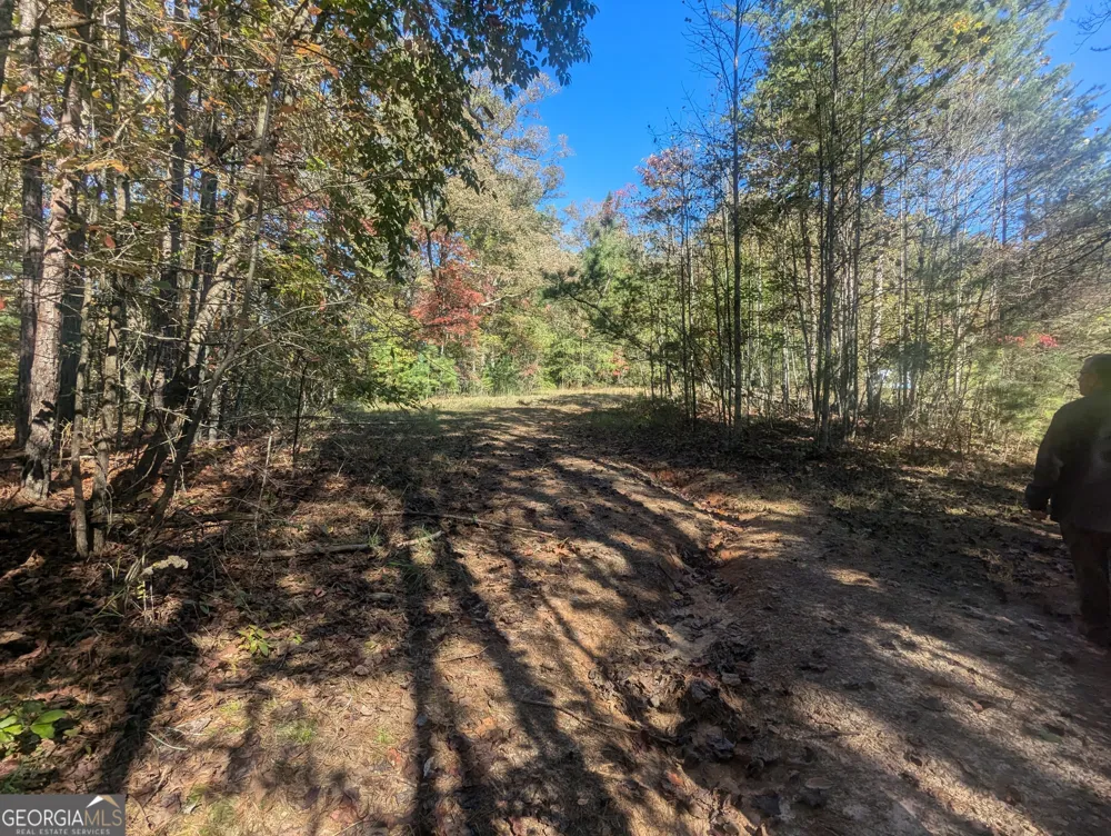 26.89 AC Shadow LN Blue Ridge, GA 30513