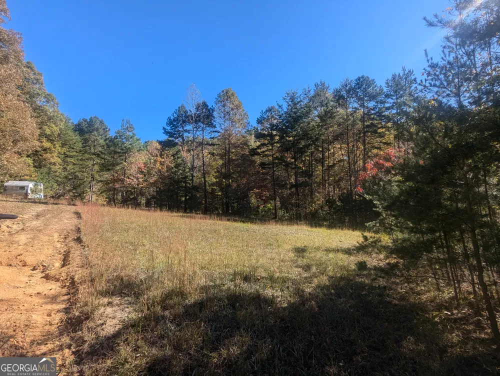 26.89 AC Shadow LN Blue Ridge, GA 30513