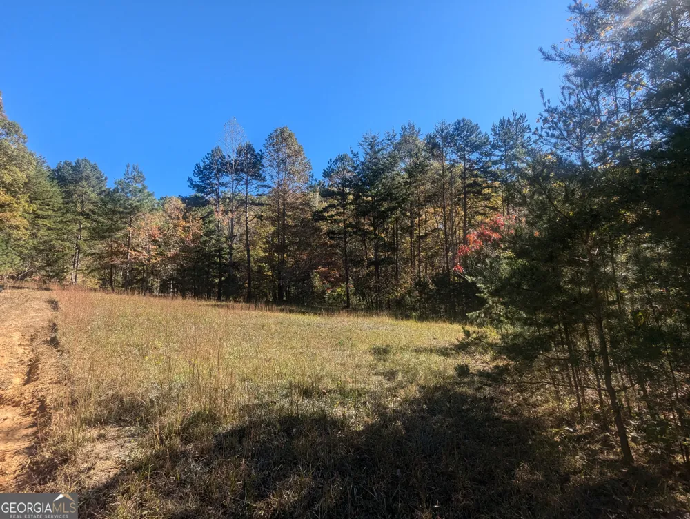 26.89 AC Shadow LN Blue Ridge, GA 30513