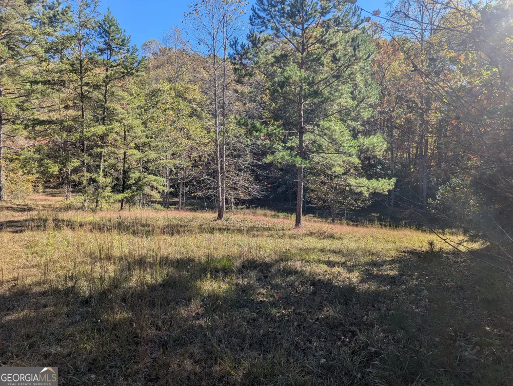 26.89 AC Shadow LN Blue Ridge, GA 30513