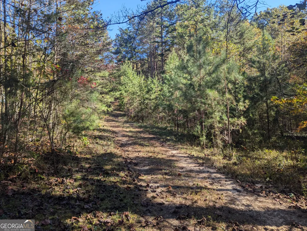 26.89 AC Shadow LN Blue Ridge, GA 30513