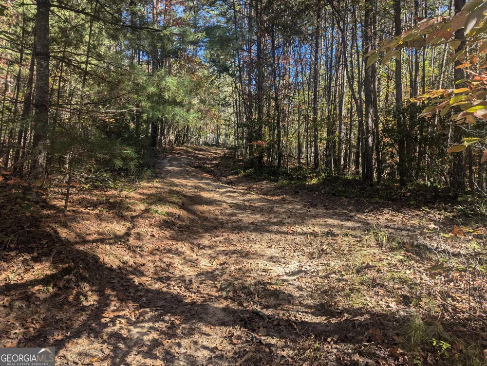 26.89 AC Shadow LN Blue Ridge, GA 30513