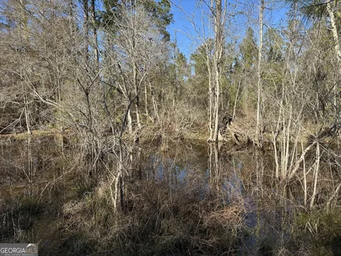 009 Mt Zion RD