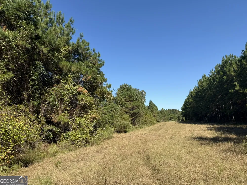 009 Mt Zion RD Gordon, AL 36343
