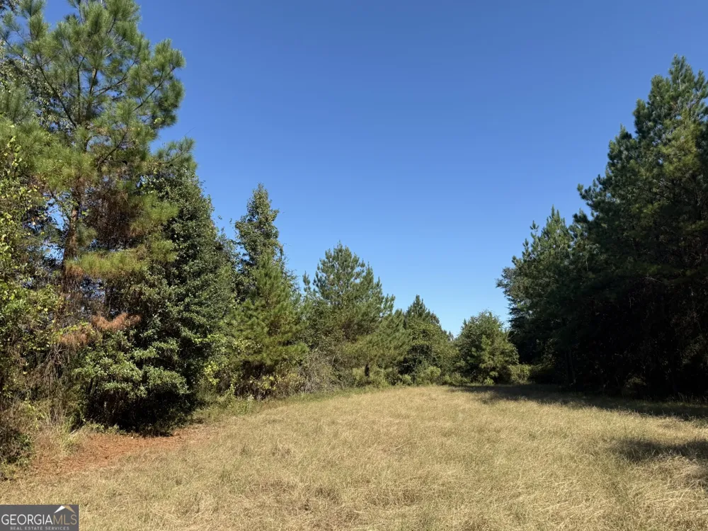 009 Mt Zion RD Gordon, AL 36343