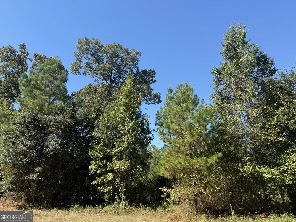 009 Mt Zion RD Gordon, AL 36343