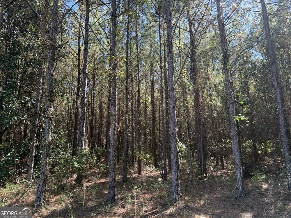 009 Mt Zion RD Gordon, AL 36343
