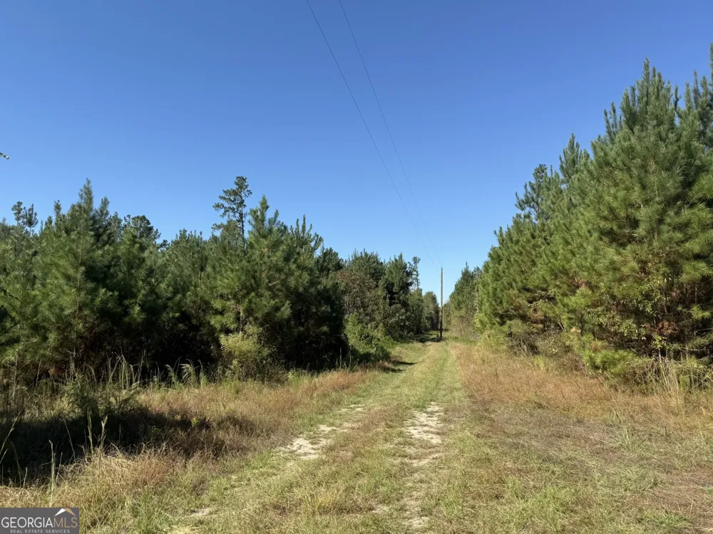 009 Mt Zion RD Gordon, AL 36343