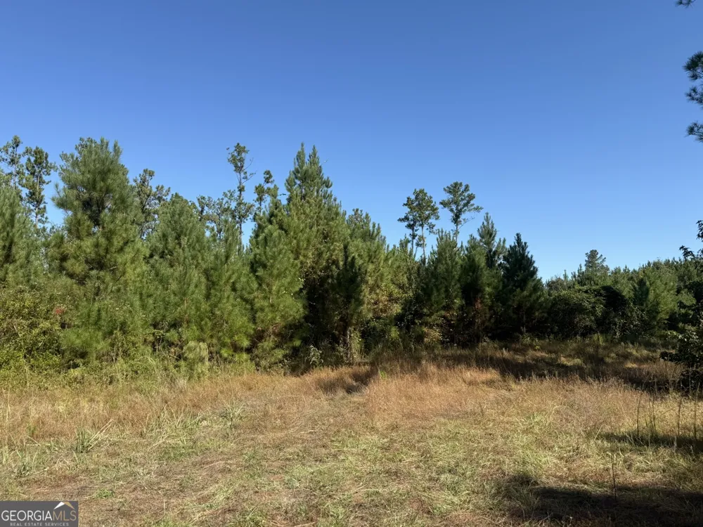 009 Mt Zion RD Gordon, AL 36343