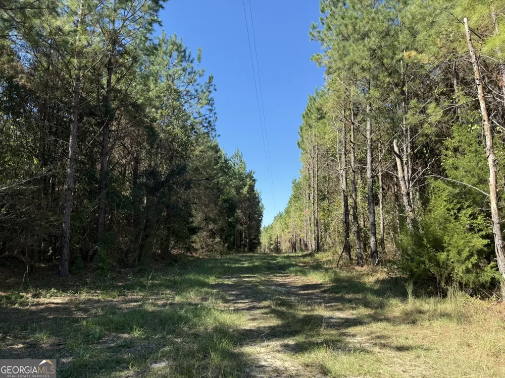 009 Mt Zion RD Gordon, AL 36343