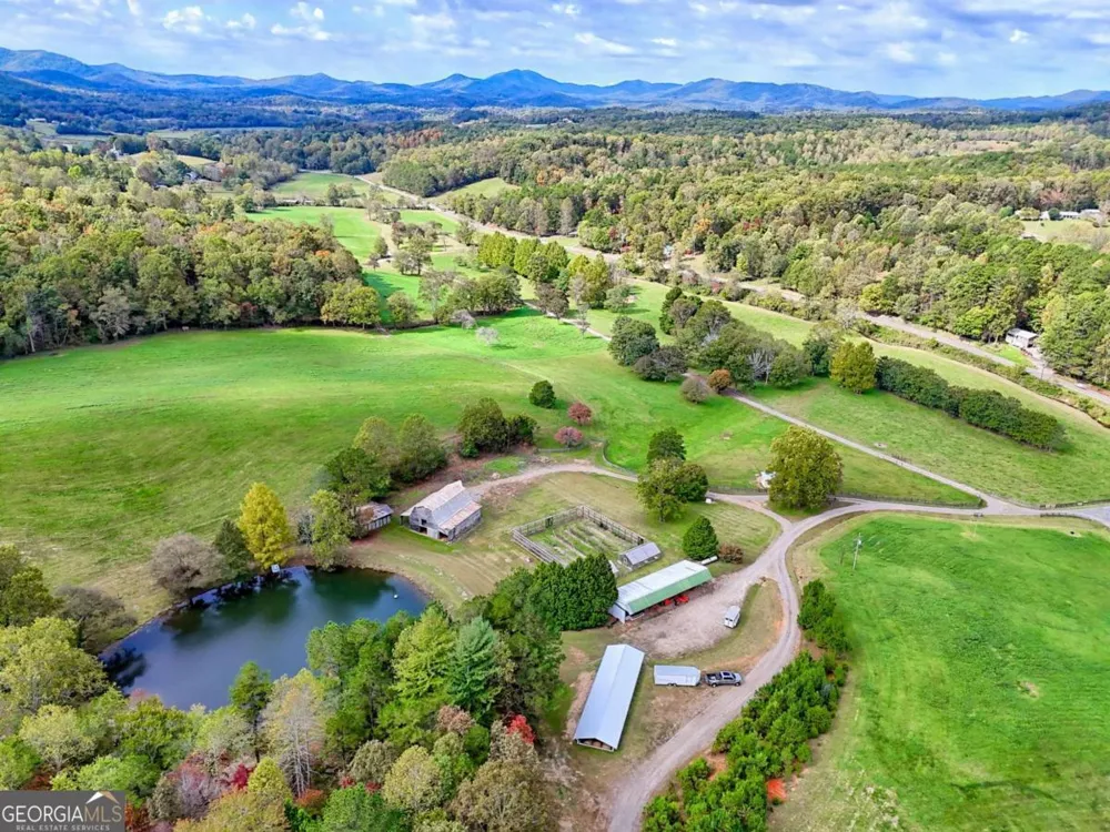 3147 Old Hwy 64W Warne, NC 28909