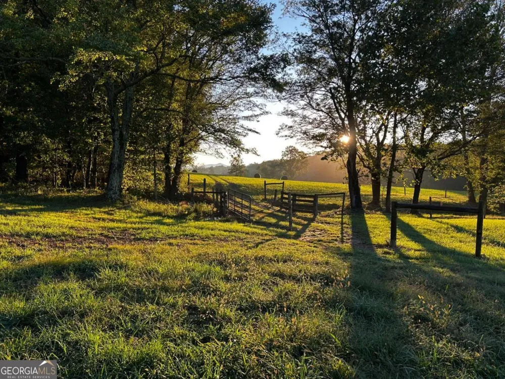 3147 Old Hwy 64W Warne, NC 28909
