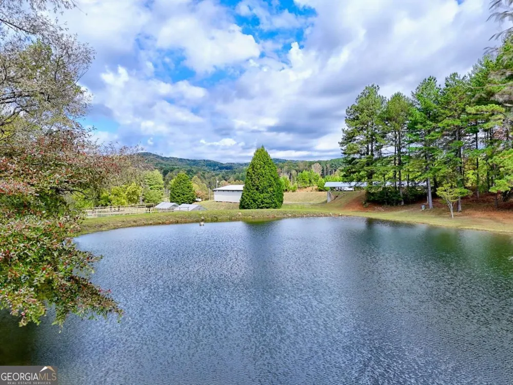 3147 Old Hwy 64W Warne, NC 28909