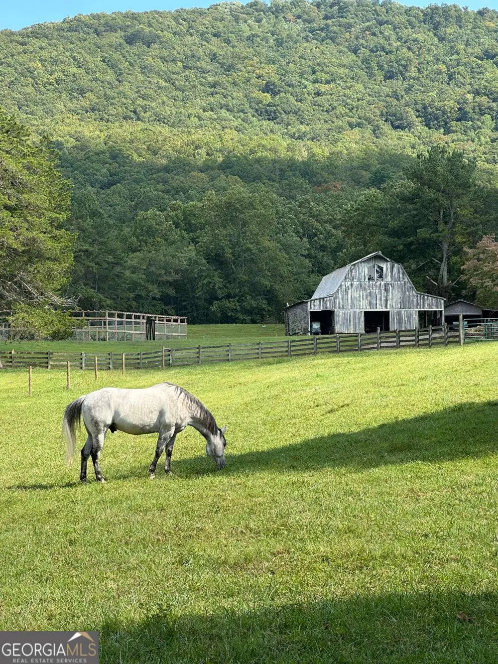 3147 Old Hwy 64W Warne, NC 28909