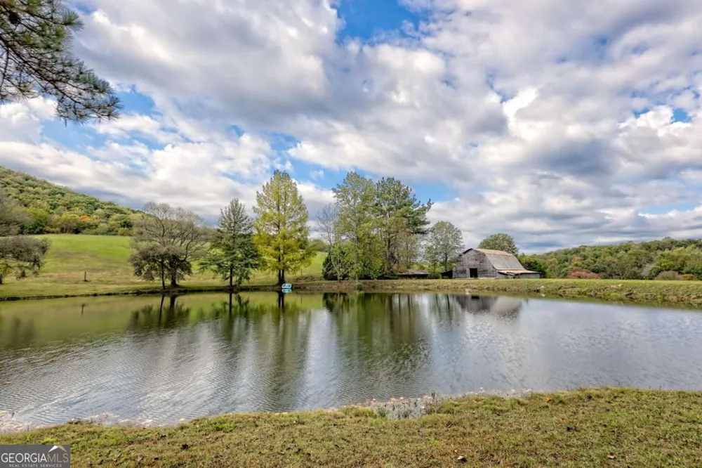 3147 Old Hwy 64W Warne, NC 28909
