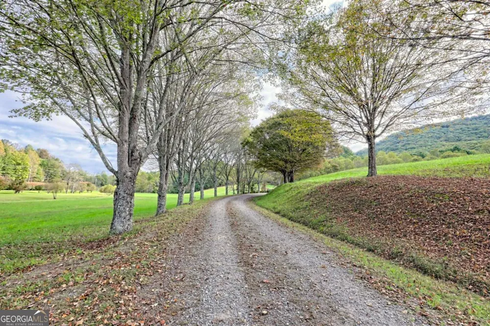 3147 Old Hwy 64W Warne, NC 28909