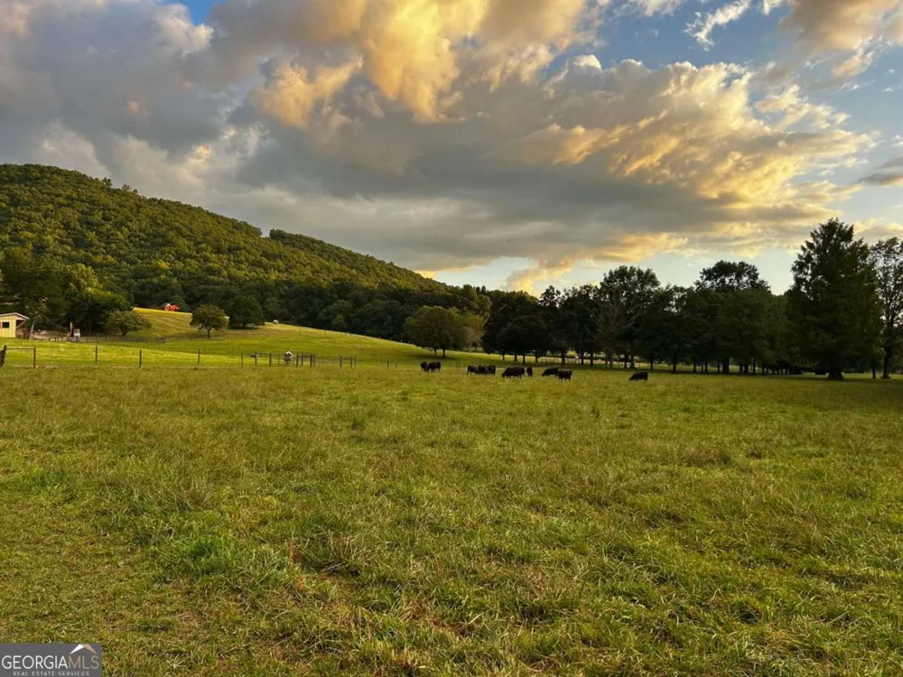 3147 Old Hwy 64W Warne, NC 28909