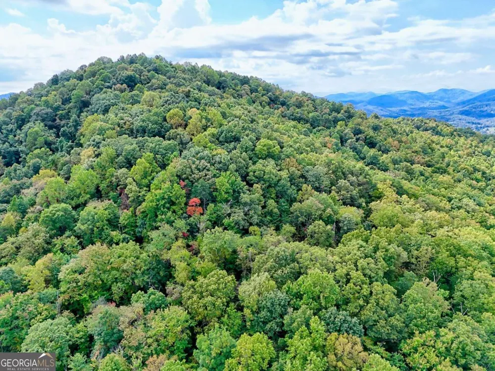 3147 Old Hwy 64W Warne, NC 28909