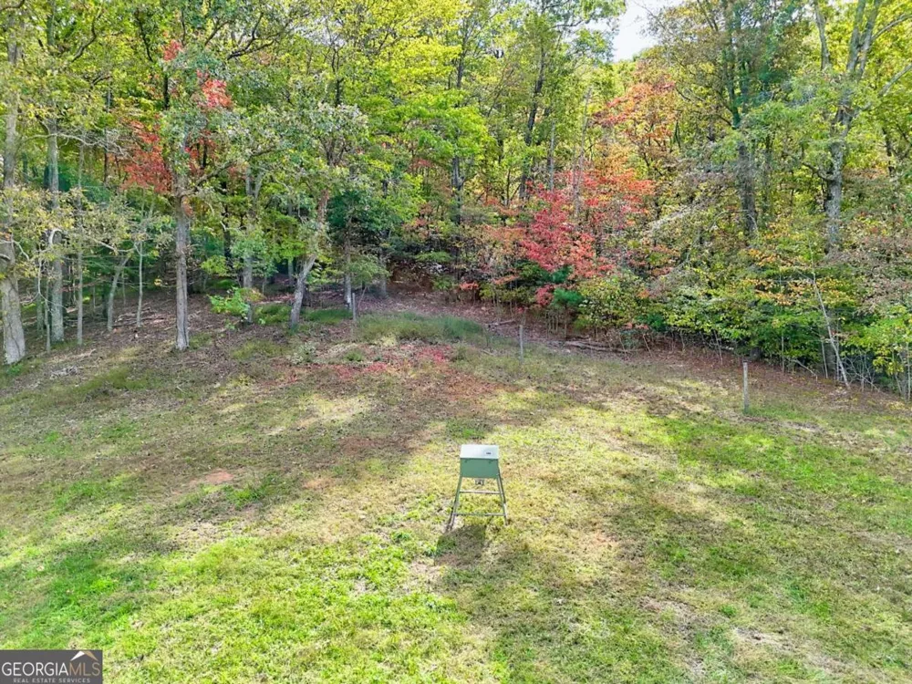 3147 Old Hwy 64W Warne, NC 28909