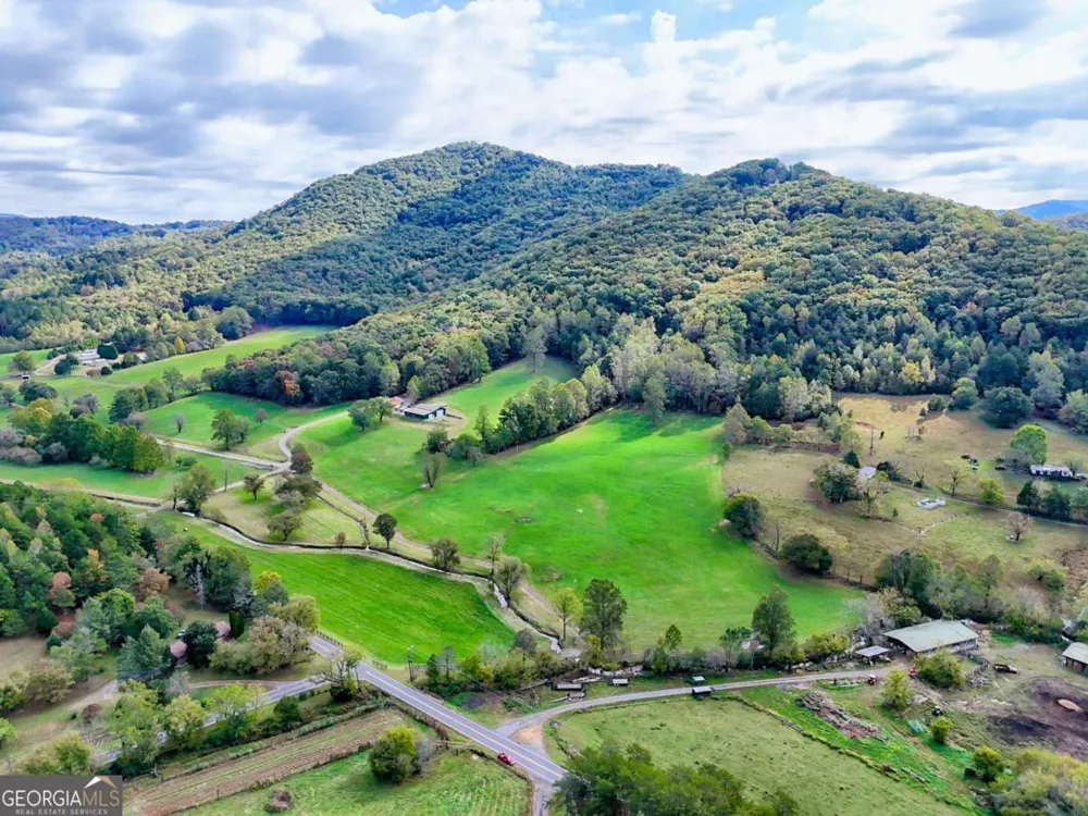 3147 Old Hwy 64W Warne, NC 28909