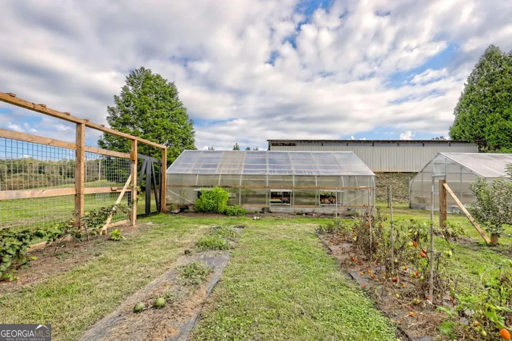 3147 Old Hwy 64W Warne, NC 28909