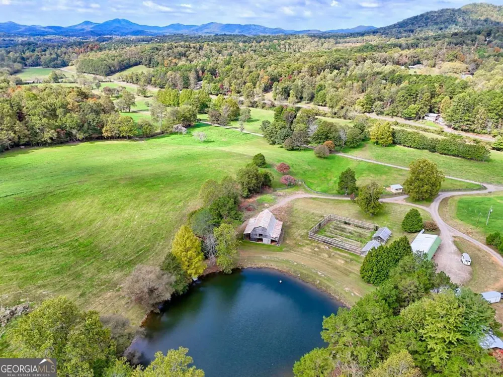 3147 Old Hwy 64W Warne, NC 28909