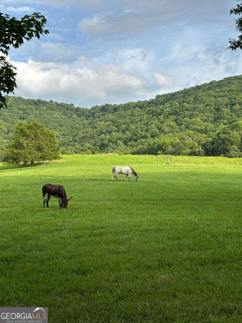3147 Old Hwy 64W Warne, NC 28909