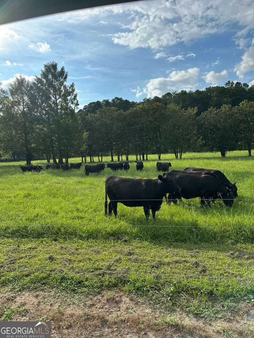 3147 Old Hwy 64W Warne, NC 28909