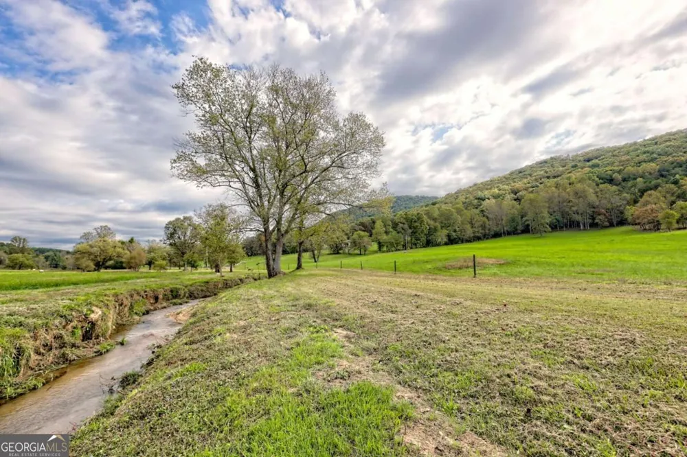 3147 Old Hwy 64W Warne, NC 28909