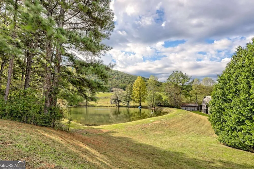 3147 Old Hwy 64W Warne, NC 28909