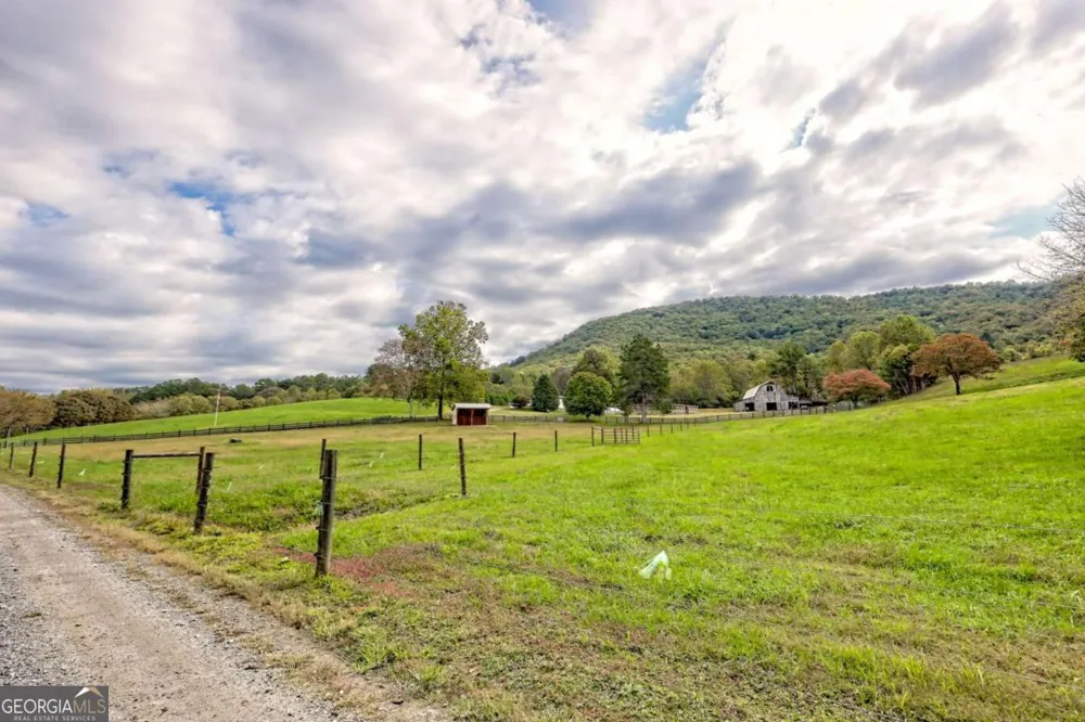 3147 Old Hwy 64W Warne, NC 28909
