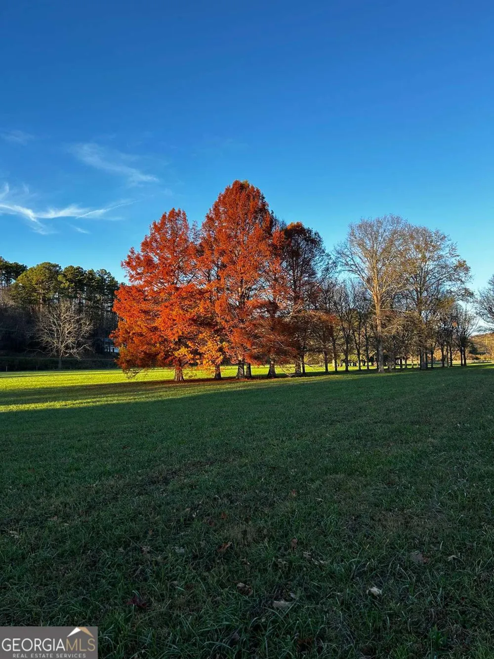 3147 Old Hwy 64W Warne, NC 28909