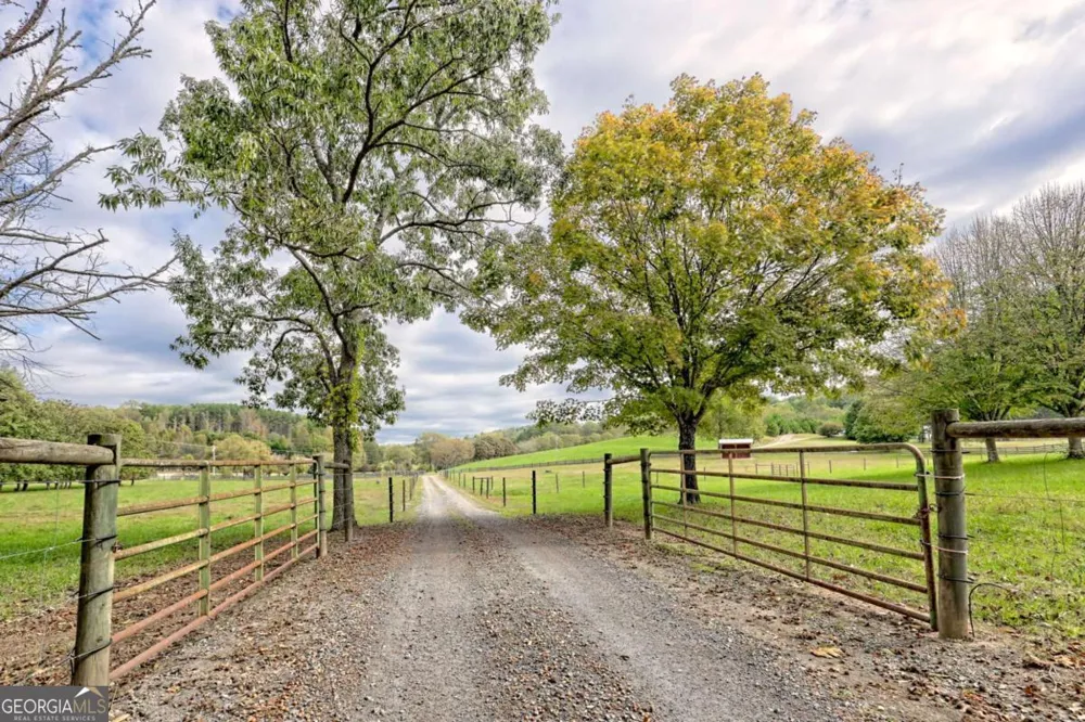 3147 Old Hwy 64W Warne, NC 28909