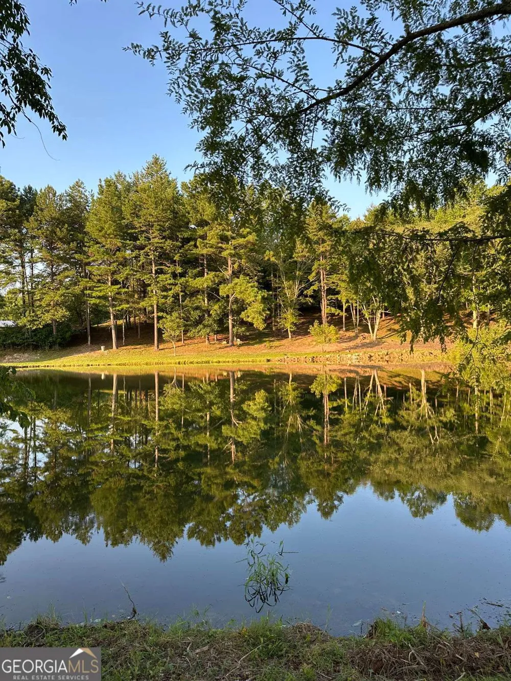3147 Old Hwy 64W Warne, NC 28909