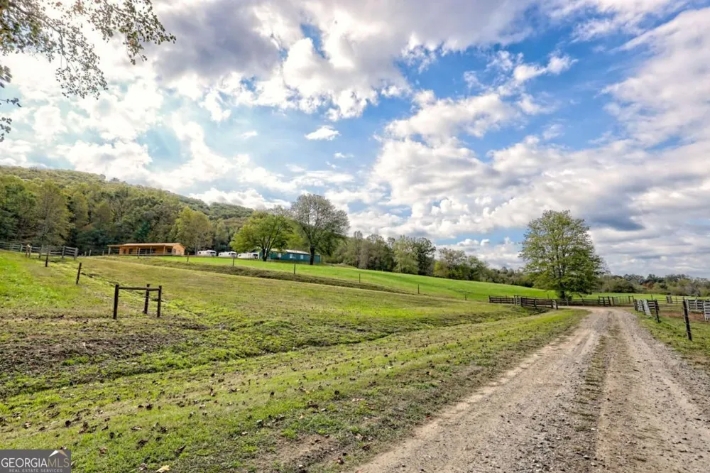 3147 Old Hwy 64W Warne, NC 28909