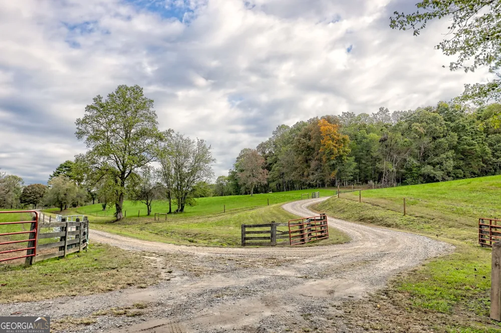 3147 Old Hwy 64W Warne, NC 28909
