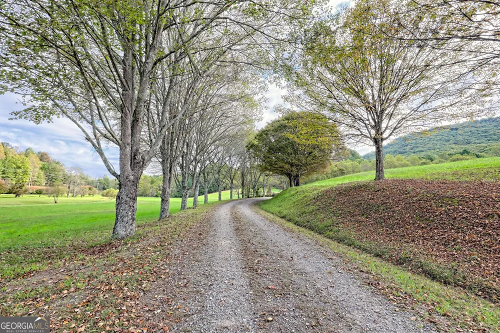 3147 Old Hwy 64W Warne, NC 28909