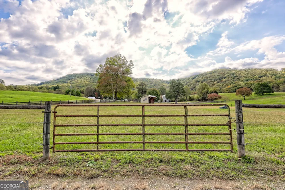 3147 Old Hwy 64W Warne, NC 28909