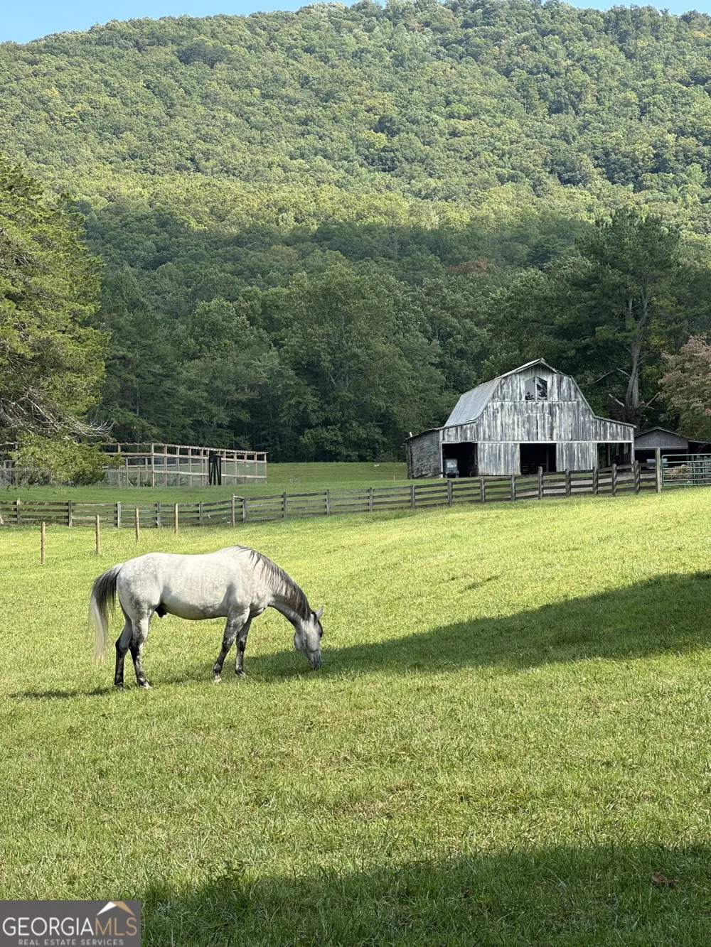 3147 Old Hwy 64W Warne, NC 28909