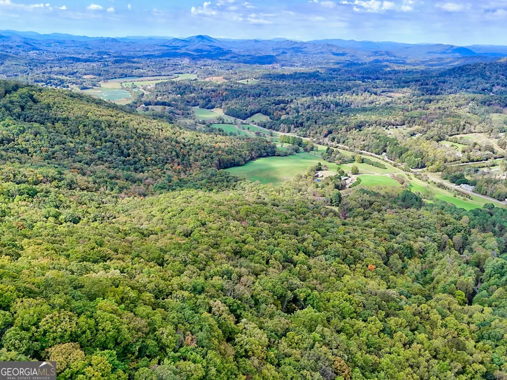 3147 Old Hwy 64W Warne, NC 28909