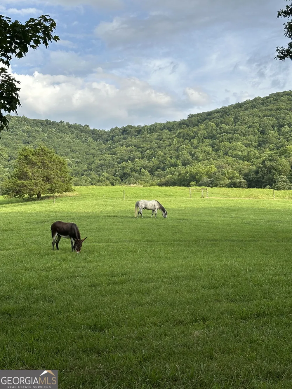 3147 Old Hwy 64W Warne, NC 28909