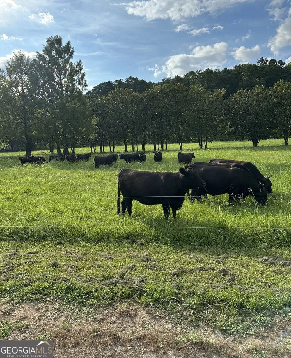 3147 Old Hwy 64W Warne, NC 28909