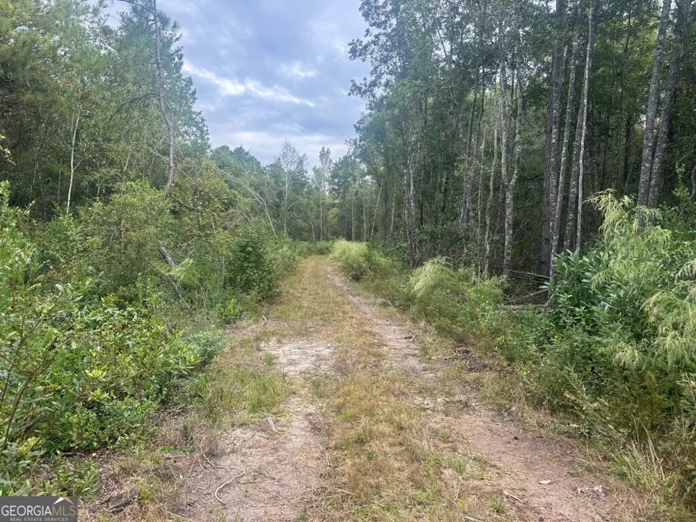 0 Lowground RD Guyton, GA 31312