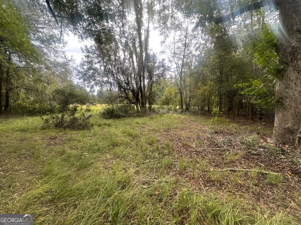 0 Lowground RD Guyton, GA 31312