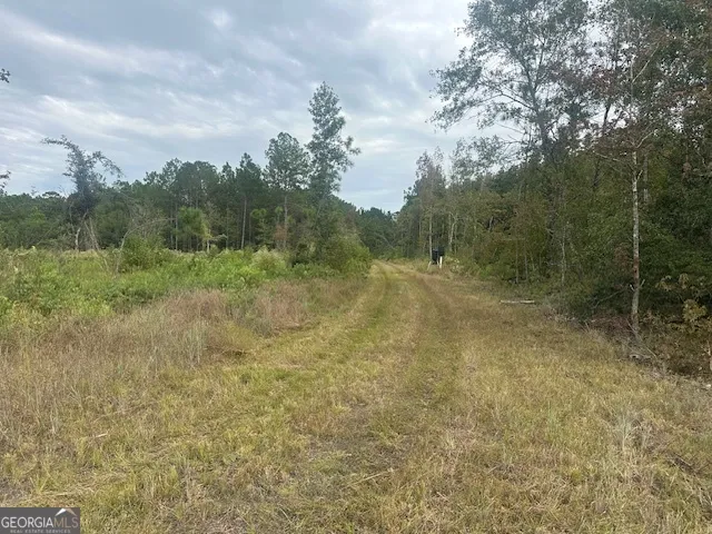 0 Lowground RD Guyton, GA 31312