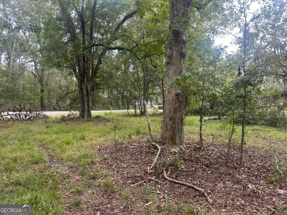0 Lowground RD Guyton, GA 31312